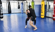 桑搏技能爆料最新,实战技巧与策略深度解析